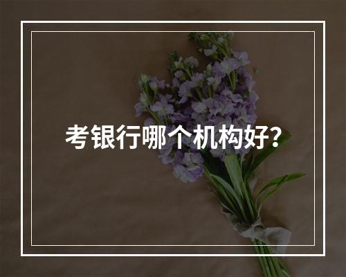 考银行哪个机构好？