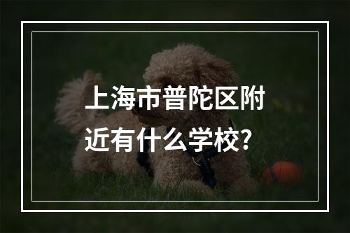 上海市普陀区附近有什么学校?