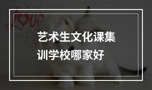 艺术生文化课集训学校哪家好