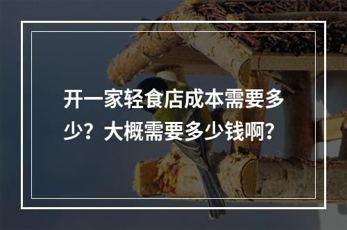 开一家轻食店成本需要多少？大概需要多少钱啊？