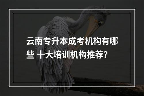 云南专升本成考机构有哪些 十大培训机构推荐？