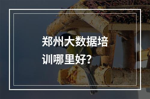 郑州大数据培训哪里好？