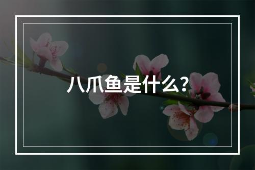 八爪鱼是什么？