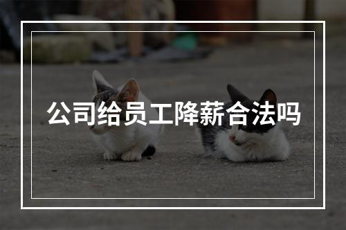 公司给员工降薪合法吗