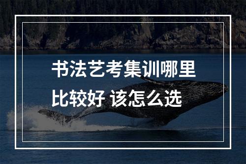 书法艺考集训哪里比较好 该怎么选