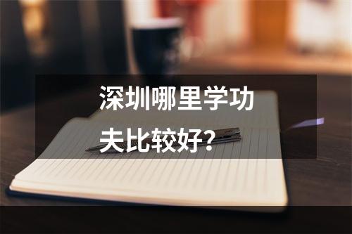 深圳哪里学功夫比较好？