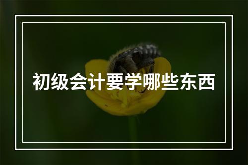 初级会计要学哪些东西