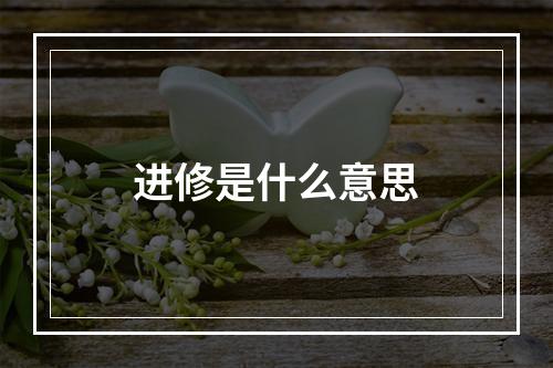 进修是什么意思