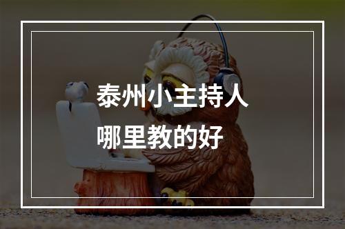 泰州小主持人哪里教的好