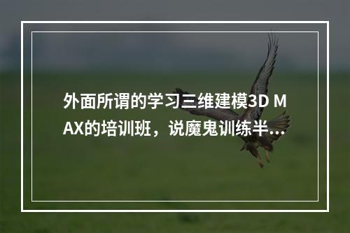 外面所谓的学习三维建模3D MAX的培训班，说魔鬼训练半个月之后就能自己建复杂的模了，只真的还是假的