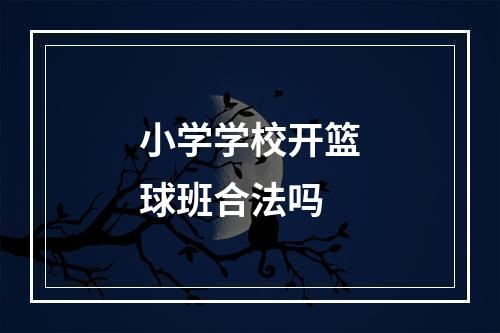 小学学校开篮球班合法吗