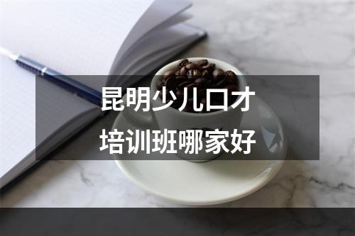 昆明少儿口才培训班哪家好