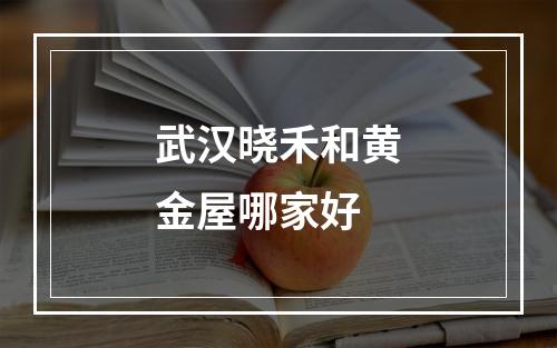 武汉晓禾和黄金屋哪家好