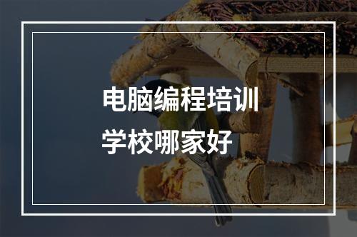 电脑编程培训学校哪家好