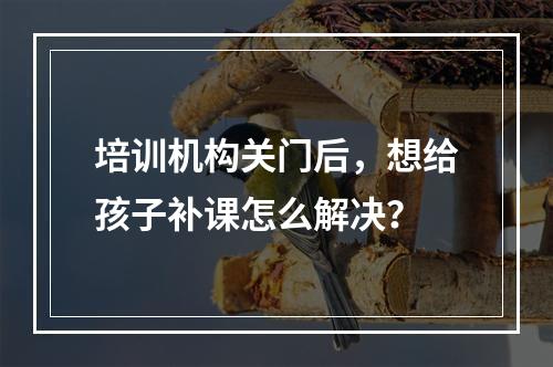 培训机构关门后，想给孩子补课怎么解决？