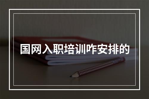 国网入职培训咋安排的