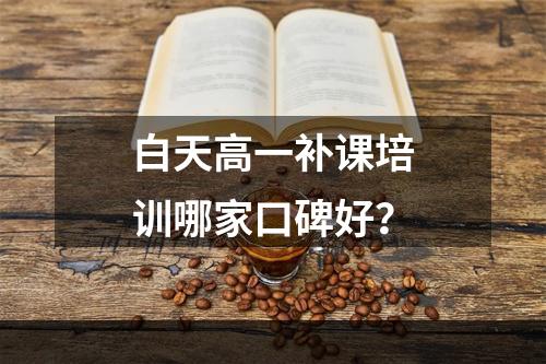 白天高一补课培训哪家口碑好？