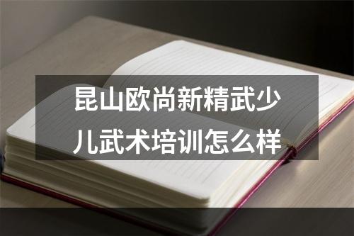 昆山欧尚新精武少儿武术培训怎么样