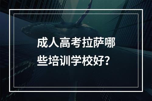 成人高考拉萨哪些培训学校好？