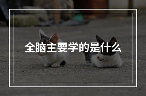 全脑主要学的是什么