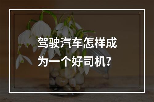 驾驶汽车怎样成为一个好司机？