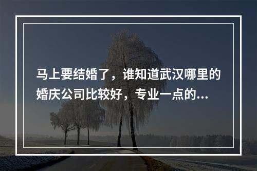 马上要结婚了，谁知道武汉哪里的婚庆公司比较好，专业一点的 啊