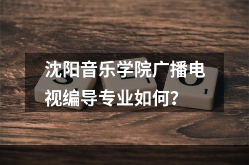 沈阳音乐学院广播电视编导专业如何？