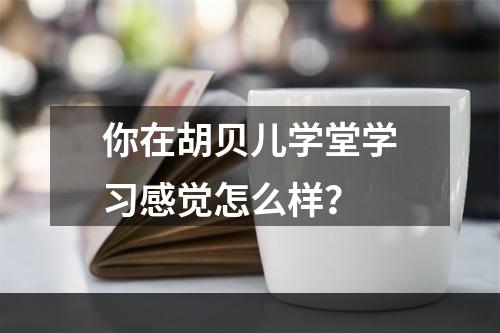 你在胡贝儿学堂学习感觉怎么样？