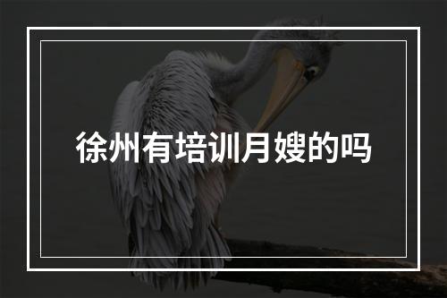 徐州有培训月嫂的吗