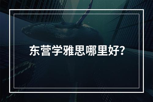 东营学雅思哪里好？