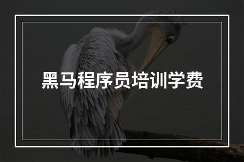 黑马程序员培训学费