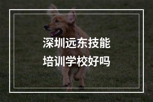 深圳远东技能培训学校好吗