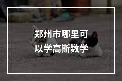 郑州市哪里可以学高斯数学