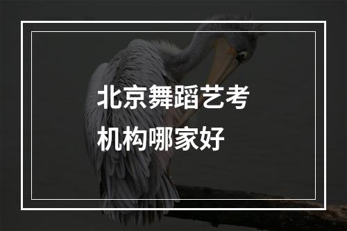 北京舞蹈艺考机构哪家好