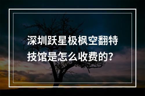 深圳跃星极枫空翻特技馆是怎么收费的？