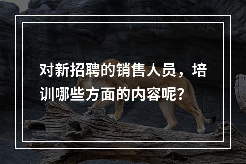 对新招聘的销售人员，培训哪些方面的内容呢？