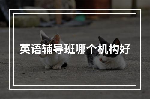 英语辅导班哪个机构好