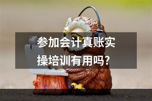 参加会计真账实操培训有用吗?