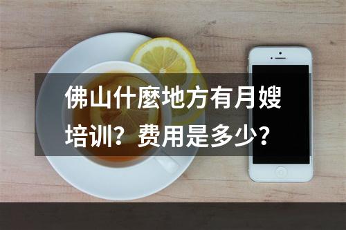 佛山什麼地方有月嫂培训？费用是多少？