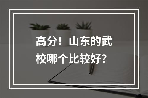 高分！山东的武校哪个比较好？