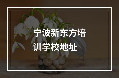 宁波新东方培训学校地址