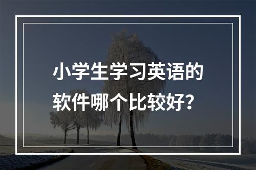 小学生学习英语的软件哪个比较好？