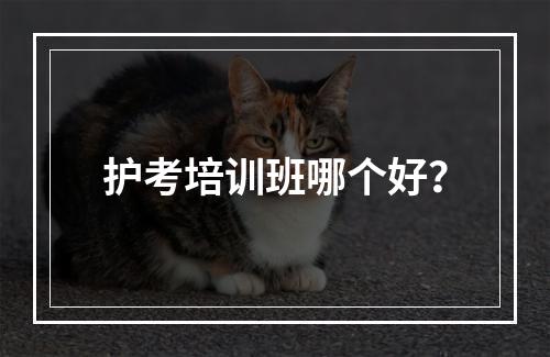 护考培训班哪个好？