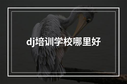 dj培训学校哪里好