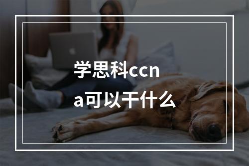 学思科ccna可以干什么