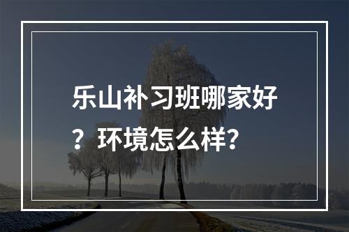 乐山补习班哪家好？环境怎么样？