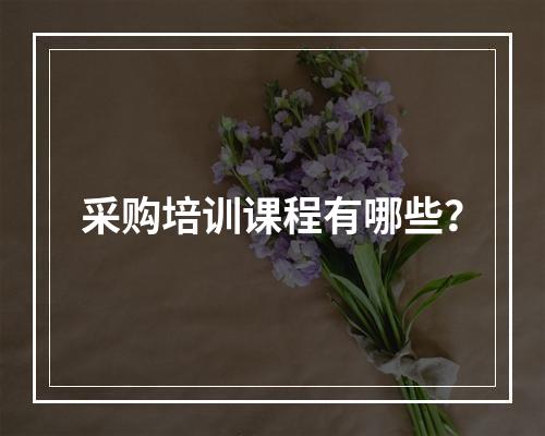 采购培训课程有哪些？