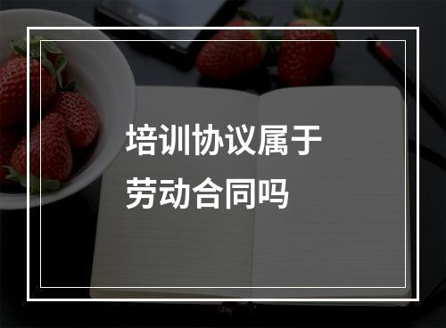 培训协议属于劳动合同吗