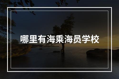 哪里有海乘海员学校