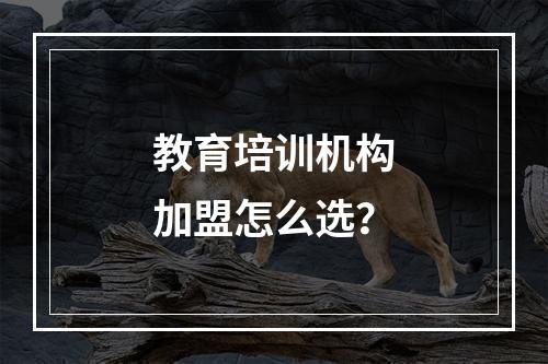 教育培训机构加盟怎么选？